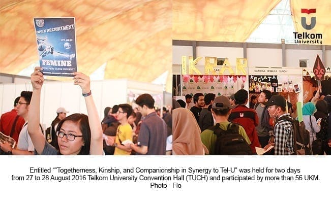 ukm fair