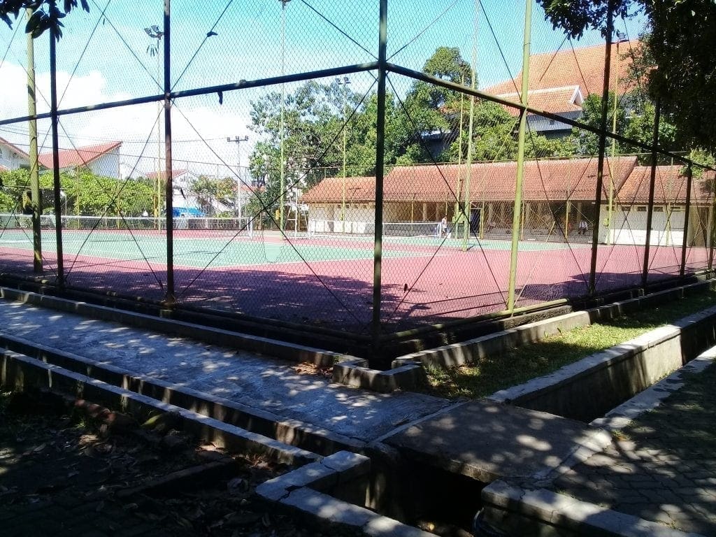 tenis 3