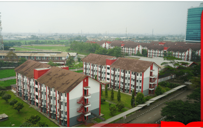 Ide Aktivitas Saat Liburan