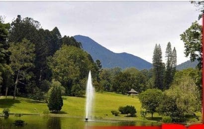 Dukung Keberlangsungan Fungsi Kebun Raya dengan Inovasi Sistem Pemetaan Kesuburan Tanah Karya Dosen Tel U