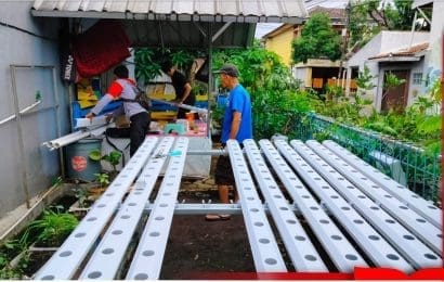 Pemberdayaan Masyarakat dengan Hidroponik dan Akuaponik Berbasis Teknologi di Desa Panyileukan