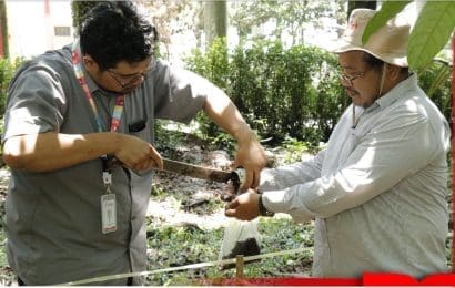 Telkom University Lakukan Pengukuran Carbon Stock di Wilayah Binaan Telkom Indonesia