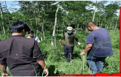 Telkom Group Lakukan Pengukuran Carbon Stock di 25 Lokasi untuk Validasi Dampak Keberlanjutan Lingkungan