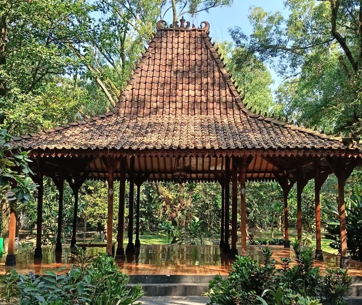 Social room2