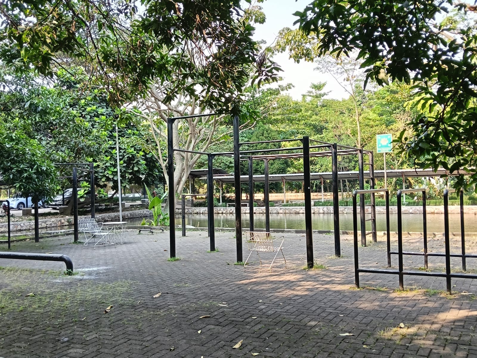 calisthenics