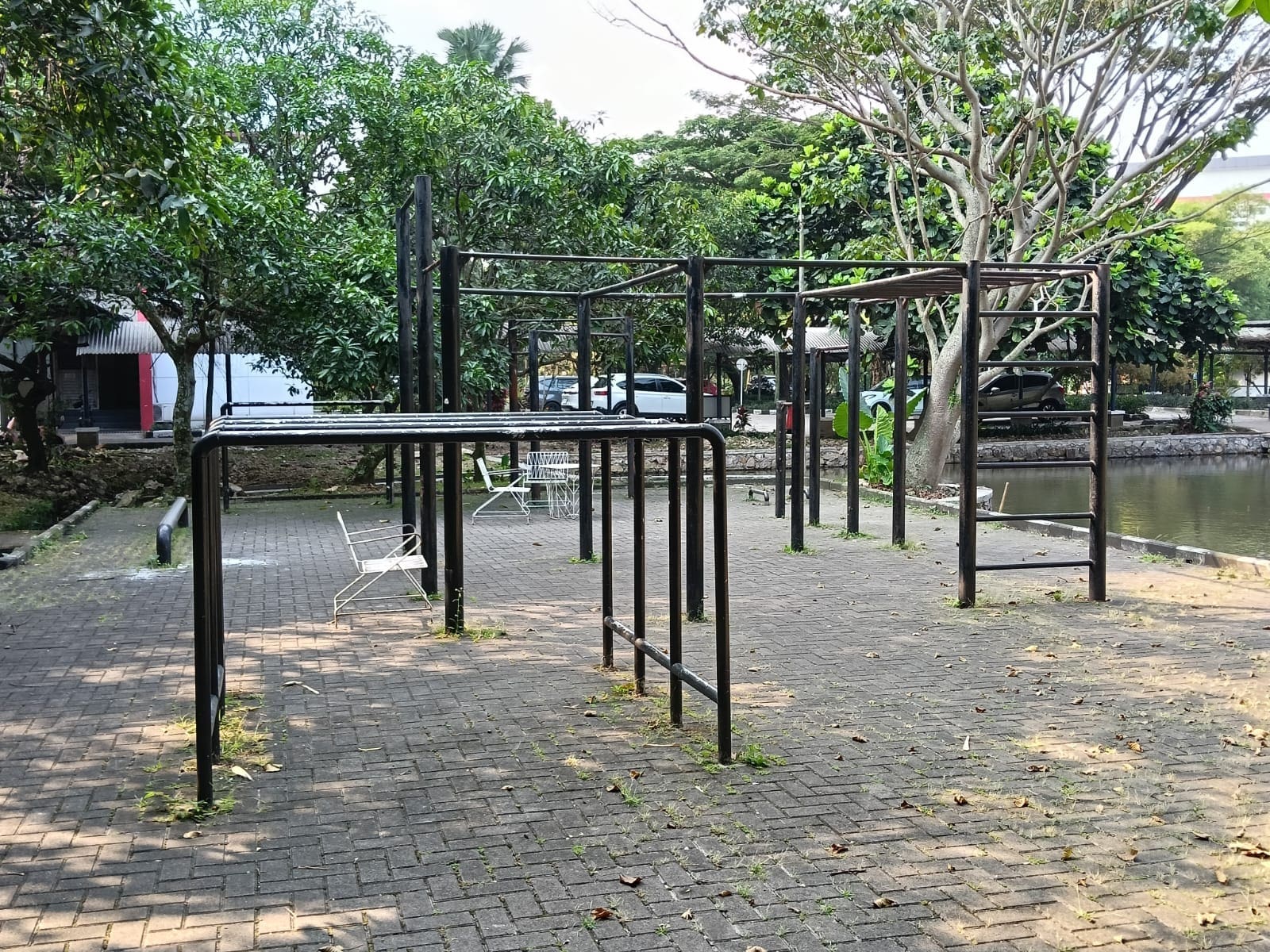calisthenics2