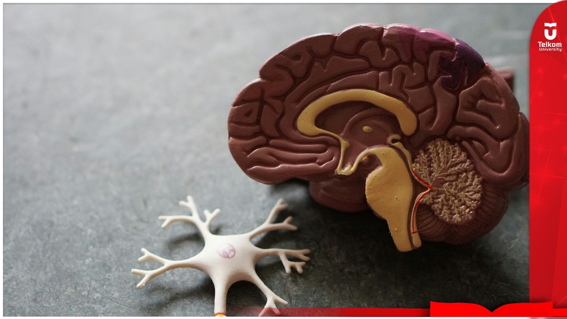 Dosen Tel-U Raih Pendanaan RIIM 2026, Kembangkan Teknologi&hellip;