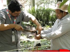 Telkom University Lakukan Pengukuran Carbon Stock di Wilayah Binaan Telkom…